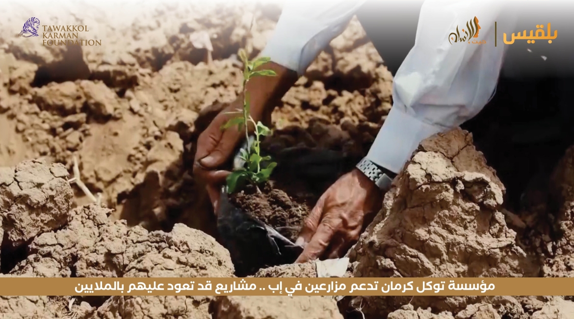 مؤسسة توكل كرمان تدعم مزارعين في إب .. مشاريع قد تعود عليهم بالملايين 